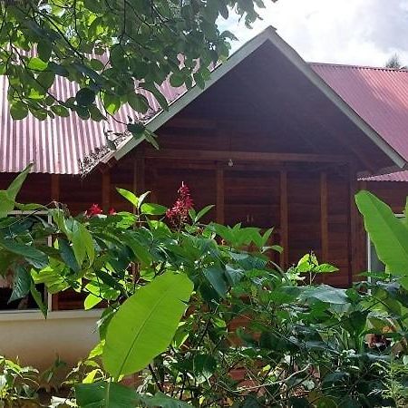 Cabanas Yax-Ha Arroyo Agua Azul المظهر الخارجي الصورة