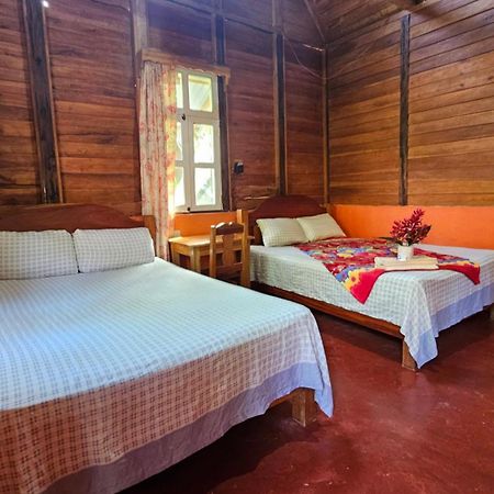 Cabanas Yax-Ha Arroyo Agua Azul المظهر الخارجي الصورة