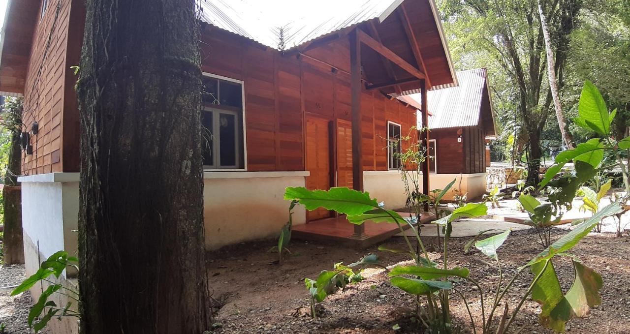 Cabanas Yax-Ha Arroyo Agua Azul المظهر الخارجي الصورة