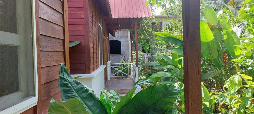 Cabanas Yax-Ha Arroyo Agua Azul المظهر الخارجي الصورة