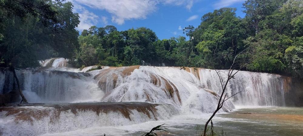 Cabanas Yax-Ha Arroyo Agua Azul المظهر الخارجي الصورة