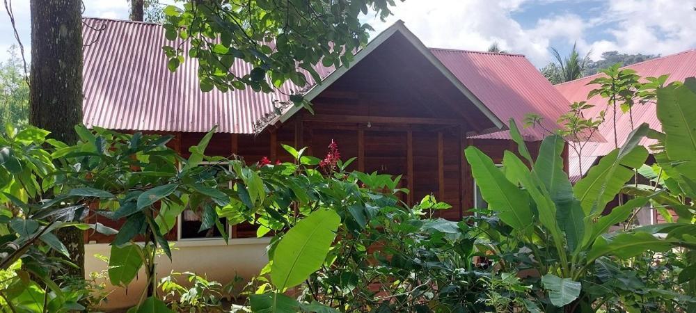 Cabanas Yax-Ha Arroyo Agua Azul المظهر الخارجي الصورة